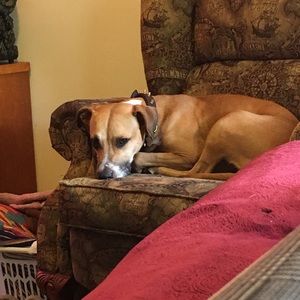 Meet your Posher, Chloe